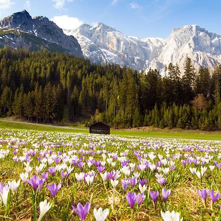 House Of Huetter - Wachtelhof & Spa Мариа-Альм Экстерьер фото